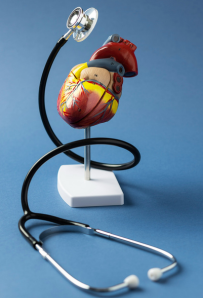 Cardiology & General Medicine