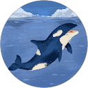 Mani Kandan profile picture