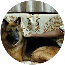 Phylis Cardoz profile picture